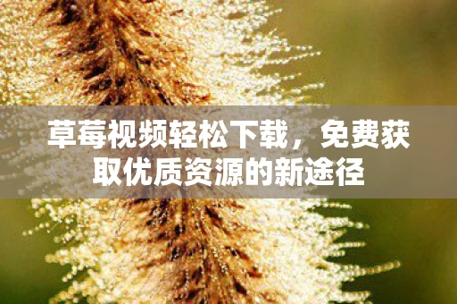 免费获取优质资源的新途径图片