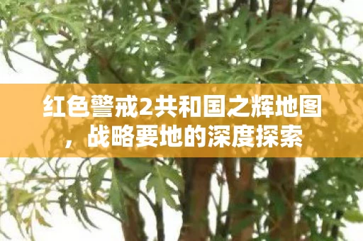 红色警戒2共和国之辉地图图片