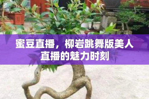 柳岩跳舞版美人直播的魅力时刻图片