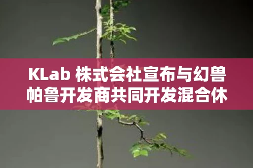 KLab 株式会社宣布与幻兽帕鲁开发商共同开发混合休闲游戏新篇章图片