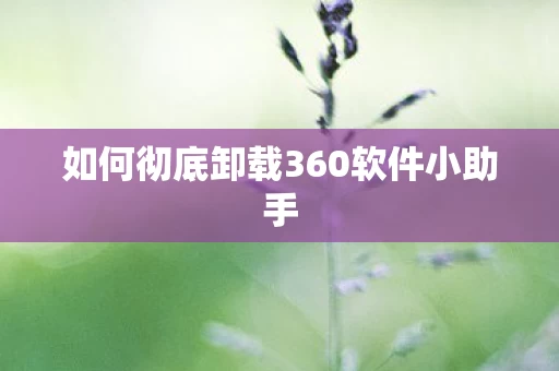 如何彻底卸载360软件小助手图片