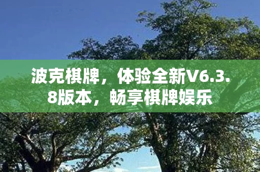 体验全新V6图片