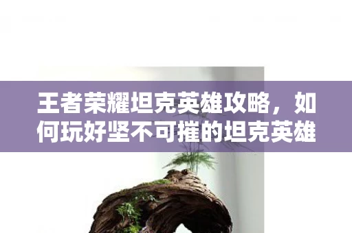 如何玩好坚不可摧的坦克英雄图片