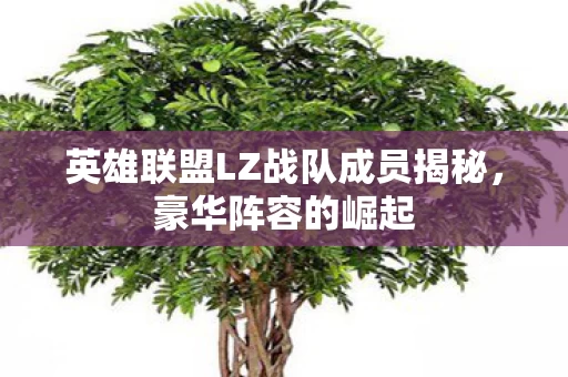 英雄联盟LZ战队成员揭秘图片