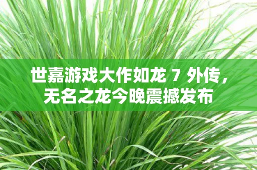 世嘉游戏大作如龙 7 外传图片