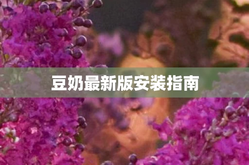 豆奶最新版安装指南图片