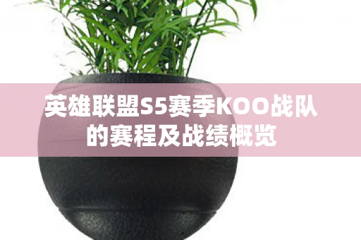 英雄联盟S5赛季KOO战队的赛程及战绩概览图片