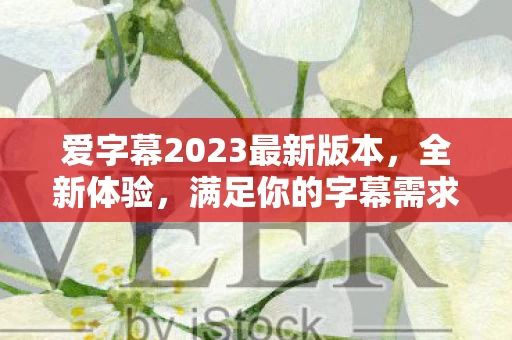 爱字幕2023最新版本图片