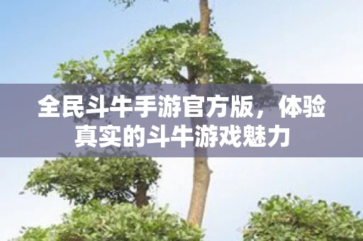 体验真实的斗牛游戏魅力图片