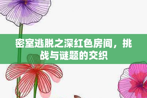 密室逃脱之深红色房间图片