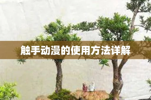 触手动漫的使用方法详解图片