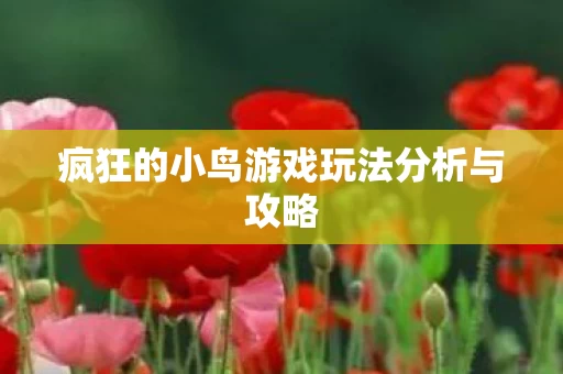 疯狂的小鸟游戏玩法分析与攻略图片