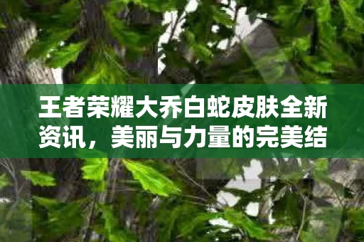 王者荣耀大乔白蛇皮肤全新资讯图片