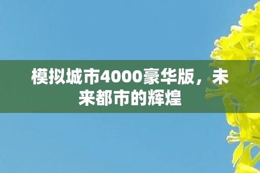 模拟城市4000豪华版图片