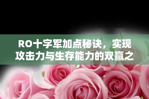 实现攻击力与生存能力的双赢之道图片