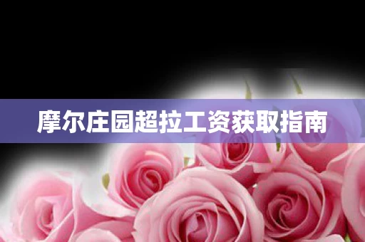 摩尔庄园超拉工资获取指南图片