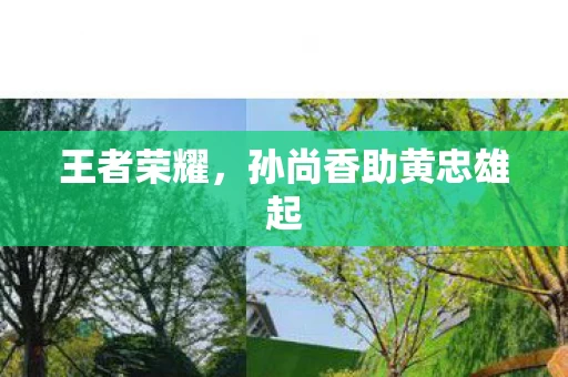 孙尚香助黄忠雄起图片