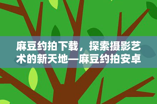 探索摄影艺术的新天地图片