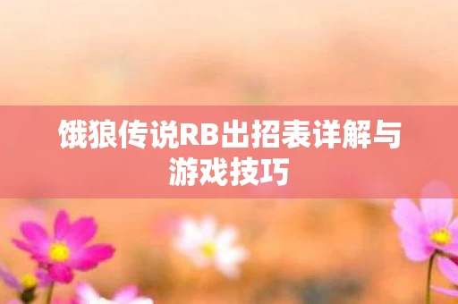 饿狼传说RB出招表详解与游戏技巧图片