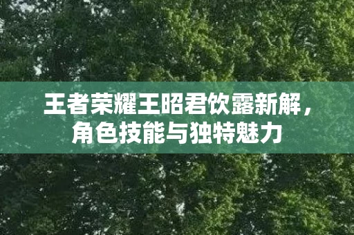 王者荣耀王昭君饮露新解图片