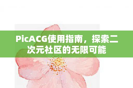 探索二次元社区的无限可能图片