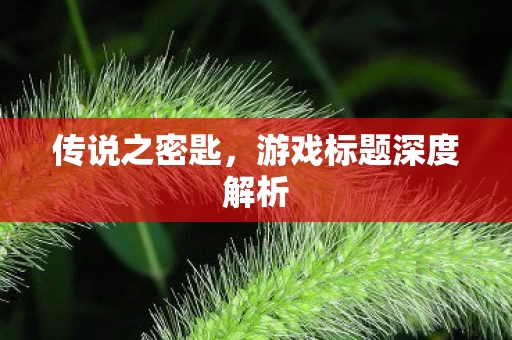 游戏标题深度解析图片
