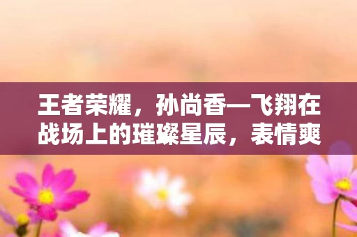 飞翔在战场上的璀璨星辰图片