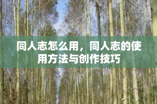 同人志的使用方法与创作技巧图片