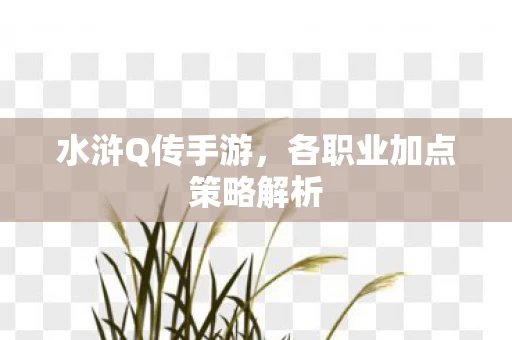 各职业加点策略解析图片