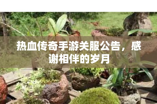 热血传奇手游关服公告图片
