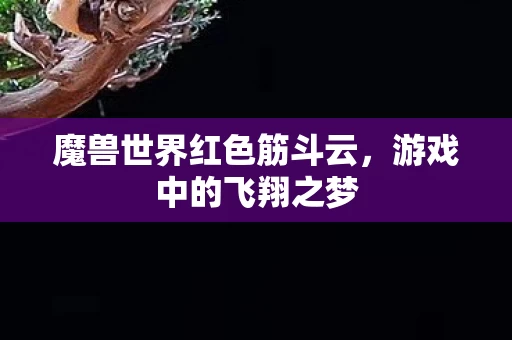 魔兽世界红色筋斗云图片