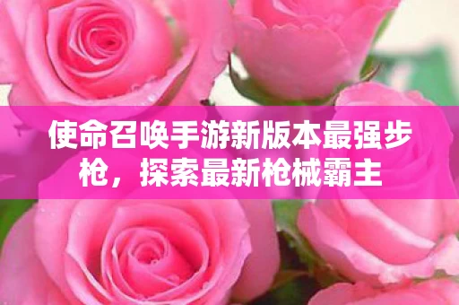 使命召唤手游新版本最强步枪图片