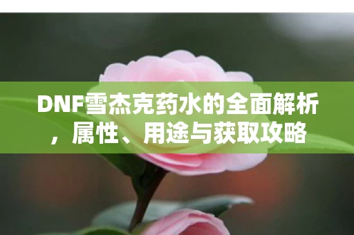 DNF雪杰克药水的全面解析图片
