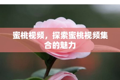 探索蜜桃视频集合的魅力图片