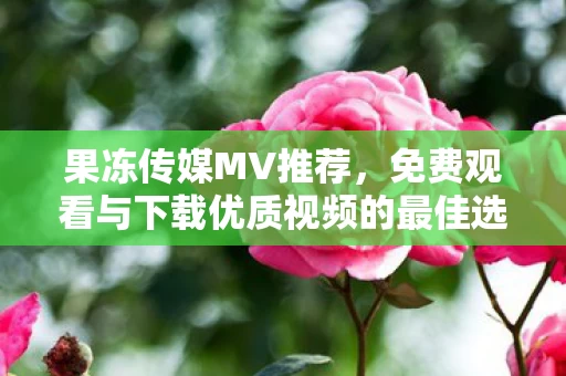 免费观看与下载优质视频的最佳选择图片