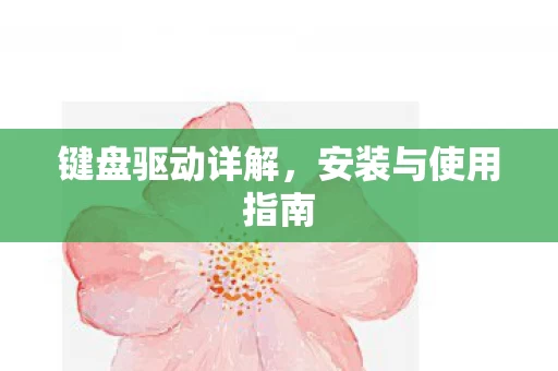 安装与使用指南图片