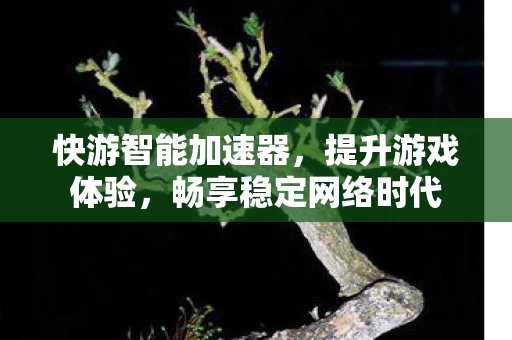 畅享稳定网络时代图片