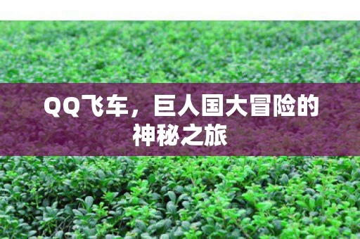 巨人国大冒险的神秘之旅图片