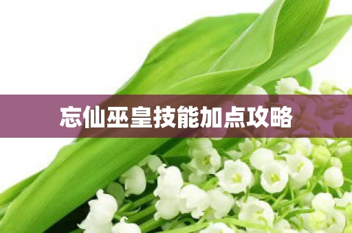 忘仙巫皇技能加点攻略图片