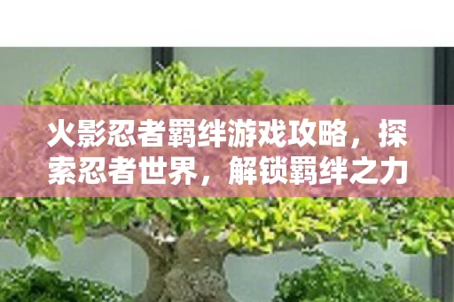火影忍者羁绊游戏攻略图片