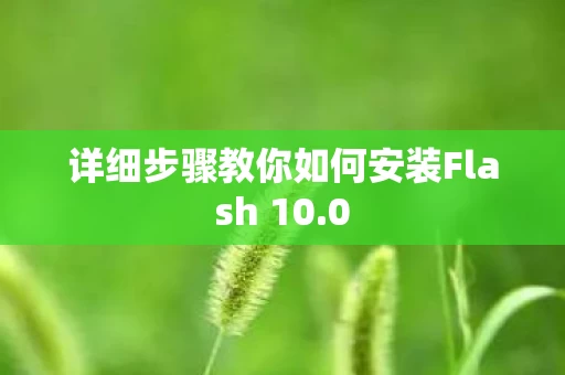 详细步骤教你如何安装Flash 10图片