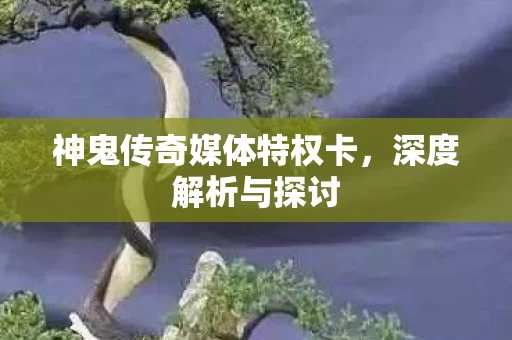 神鬼传奇媒体特权卡图片