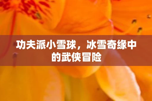 冰雪奇缘中的武侠冒险图片