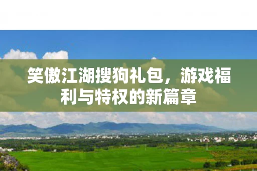 游戏福利与特权的新篇章图片