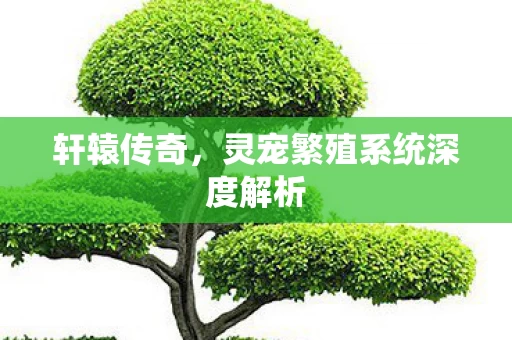 灵宠繁殖系统深度解析图片