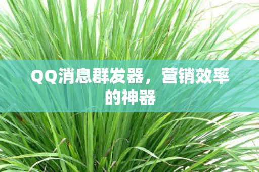 QQ消息群发器图片