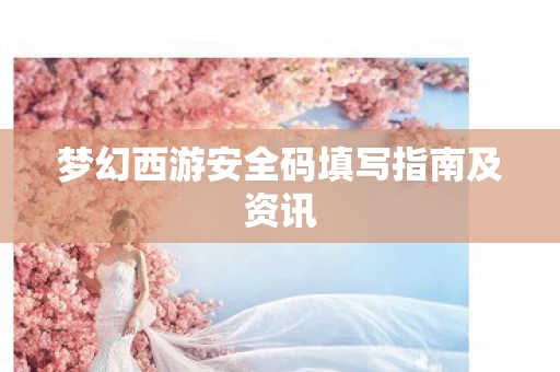 梦幻西游安全码填写指南及资讯图片