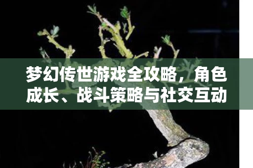 战斗策略与社交互动指南图片