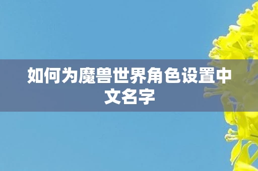 如何为魔兽世界角色设置中文名字图片