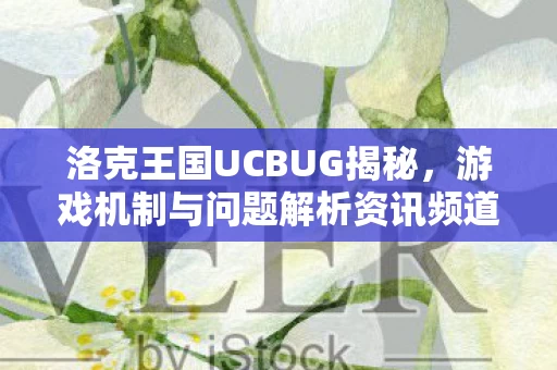 游戏机制与问题解析资讯频道图片